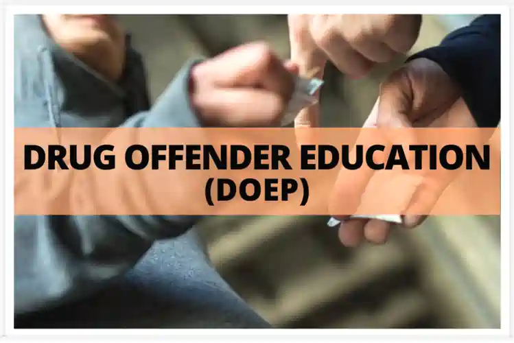 Drug Offenders Education Program